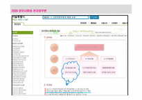 [전자정부론] 행정개혁 BPR, ISP-10