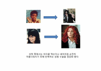 [사회학] 수전 보르도 `참을 수 없는 몸의 무거움`-성형과 다이어트에 대한 고찰-4
