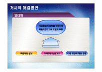 [전자정부론] 전자민주주의와 시민참여-10