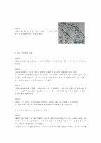[인문학] 작가`이상`의 생애와 문학의 특징-4