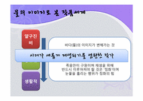[현대문학입문] 작가 손창섭의 작품세계-`생활적` 중심으로-15