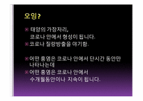 [천문학] 태양의 여러가지 현상들-11
