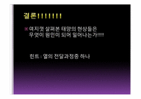[천문학] 태양의 여러가지 현상들-18