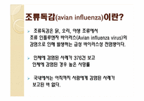 조류독감의 관리 및 에방대책-2