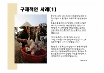 조류독감의 관리 및 에방대책-12