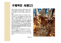 조류독감의 관리 및 에방대책-13