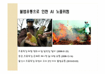 조류독감의 관리 및 에방대책-14