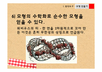 [교육학] 아동 수과학 지도를 위한 생각도구 및 활동계획안-11