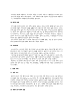 회계분식과 경제적인 파급효과-11