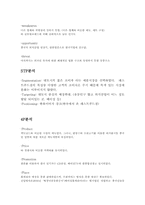 [국제경영] 롯데리아 중국 진출전략 실패-9