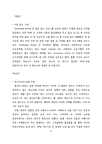 사우스웨스트항공의 경영전략-13