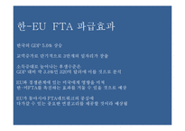 한-EU FTA 추진배경, 주요내용, 파급효과, 문제점-11