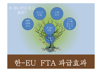 한-EU FTA 추진배경, 주요내용, 파급효과, 문제점-12