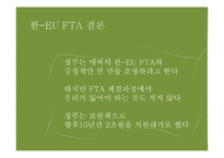 한-EU FTA 추진배경, 주요내용, 파급효과, 문제점-17