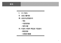 [경영학] 삼성코닝정밀유리 기업분석-2