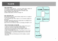 [경영학] 삼성코닝정밀유리 기업분석-4