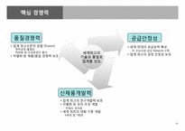 [경영학] 삼성코닝정밀유리 기업분석-14