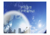 우리은행 재무비율분석-1