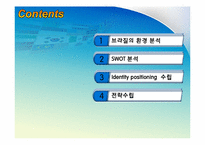 브라질의 환경 분석-2