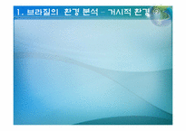 브라질의 환경 분석-4