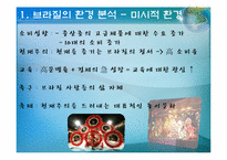 브라질의 환경 분석-5