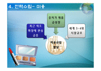 브라질의 환경 분석-10