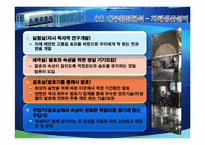 [마케팅전략] 한류마케팅-8