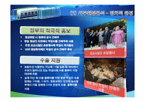 [마케팅전략] 한류마케팅-10