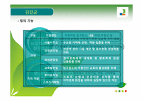 강진군, 교세라공업, 유한킴벌리 사례 -집단과 팀, 관료제와 팀제-7