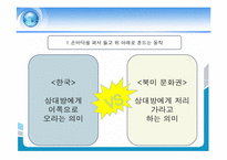 [국제마케팅] 표준화 & 현지화-3