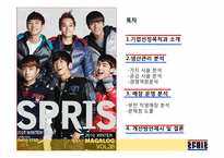 [생산관리] 컨버스 스프리스(SPRIS)의 운영과 개선방안-2