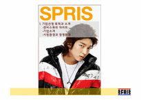 [생산관리] 컨버스 스프리스(SPRIS)의 운영과 개선방안-3