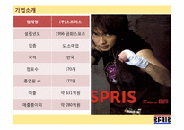 [생산관리] 컨버스 스프리스(SPRIS)의 운영과 개선방안-7