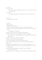 [생화학 실험] Brad for assay 와 BCA assay를 이용한 단백질 정량-3