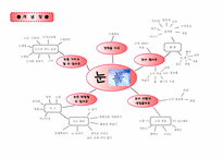 [유아교과교육론] 만5세 눈(하늘에서 내리는)-4
