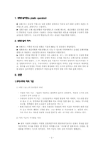 [페미니즘] 성형수술과 여성의 몸-3