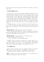 화교 경제의 생성과 발전-18