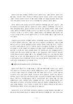 화교 경제의 생성과 발전-20