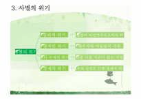 [기독교유아교육] 성경속의 가정 `룻의 가정`-14