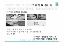 [광고분석] 래미안 광고조사-9