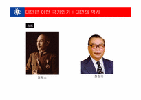 대만 시민사회 연구-13