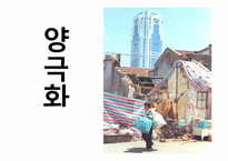 [사회문제] 양극화-1