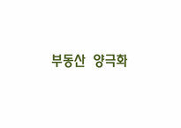 [사회문제] 양극화-10