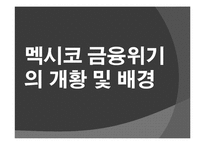 남미 금융위기 레포트-14