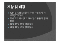 남미 금융위기 레포트-16