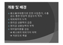 남미 금융위기 레포트-19
