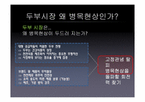 [마케팅 커뮤니케이션 전략] 두부전쟁 -두부시장 병목현상-12