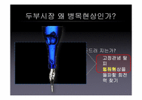 [마케팅 커뮤니케이션 전략] 두부전쟁 -두부시장 병목현상-13