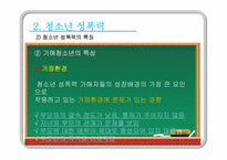 [청소년복지] 청소년 성폭력-12