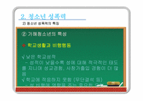 [청소년복지] 청소년 성폭력-13
